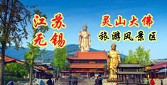 台湾精品自拍江苏无锡灵山大佛旅游风景区